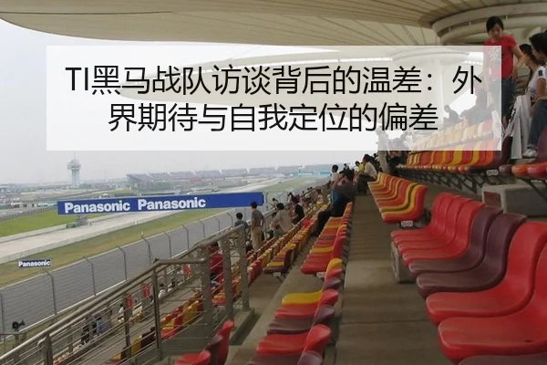 TI黑马战队访谈背后的温差：外界期待与自我定位的偏差
